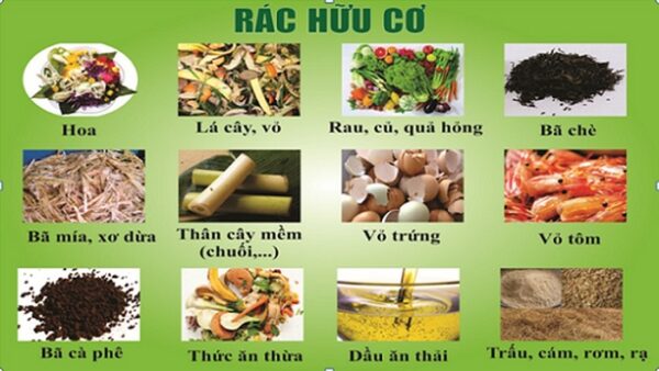 Những loại rác nào có thể bỏ vào thùng rác hữu cơ?