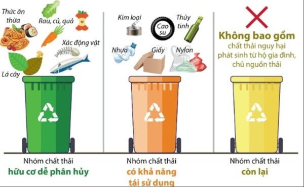 Có những loại rác nào không nên bỏ vào thùng rác hữu cơ?